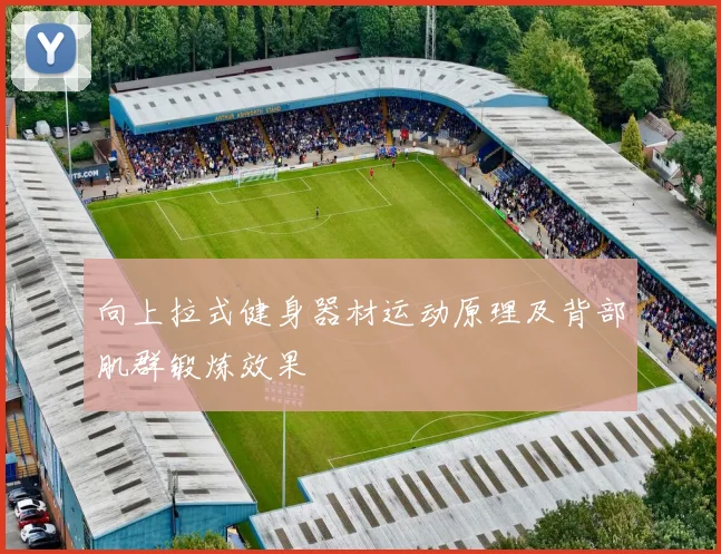 向上拉式健身器材运动原理及背部肌群锻炼效果