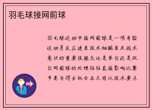 羽毛球接网前球
