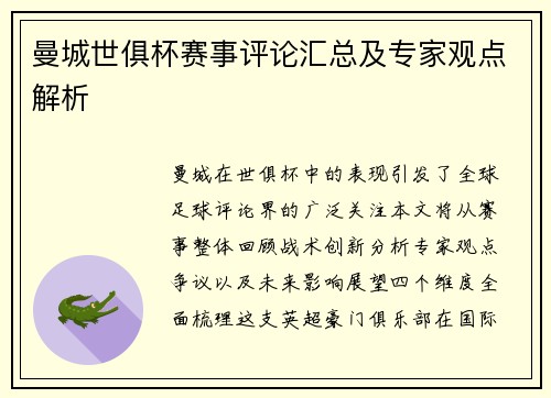 曼城世俱杯赛事评论汇总及专家观点解析